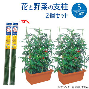 花と野菜の支柱 フック式留め具付き 組立式 Sサイズ 高さ75cm 家庭菜園用 2個セット 畑 ジョイント 園芸 パイプ