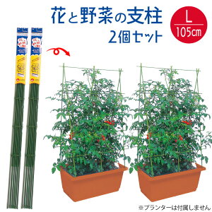 花と野菜の支柱 フック式留め具付き 組立式 Lサイズ 高さ105cm 家庭菜園用 2個セット 畑 ジョイント 園芸 パイプ