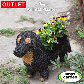 【アウトレット】英国 Smart Garden ガーデンアニマルプランター ダックスフンド ダックスフント 犬 鉢植え ガーデニング