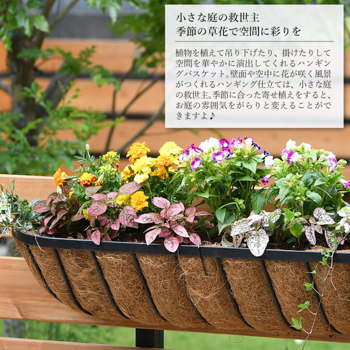 楽天市場】英国ブランド Smart Garden 壁掛けハンギングバスケット 