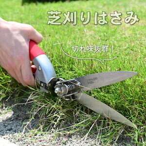 Ŋ͂ ] Ő 340mm Ŋ΂ Ő̂