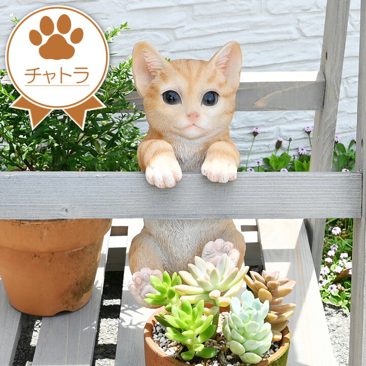 スペシャル猫セット】新品 猫好きさんへ 猫だらけ 織り込める 猫  