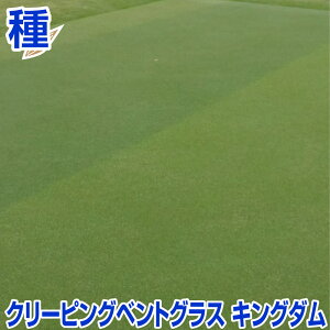 N[sOxgOX LO_ 200g 1kg 11.34kg olXn^ Ő̎ N Kێ15`25xxłBh