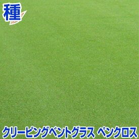 クリーピングベントグラス ペンクロス 200g 1kg 11.34kg 寒地型 芝生の種 多年草 発芽適温摂氏15〜25度程度です。