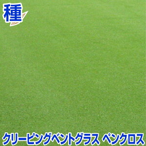 N[sOxgOX yNX 200g 1kg 11.34kg olXn^ Ő̎ N Kێ15`25xxłBh