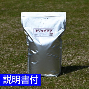 ŐpoCIL@엿 GUA~ 5kg yf 11-0-5 ێ Tb`