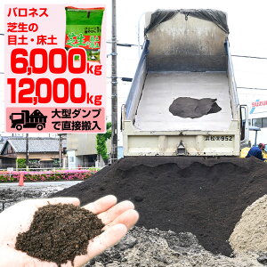 y\񒍕i 2TԂł͂zolX Ő̖ړyEy 6,000kg 6t 12,000kg 12t ^_vgbN y uh čyExmEs[gXEL@t~_  ܂ Œ 