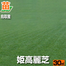 【30平米 姫高麗芝】鳥取産 姫高麗芝 30平米 9坪分 張り芝用 プレミアム苗 芝生 暖地型 天然芝【産地直送】