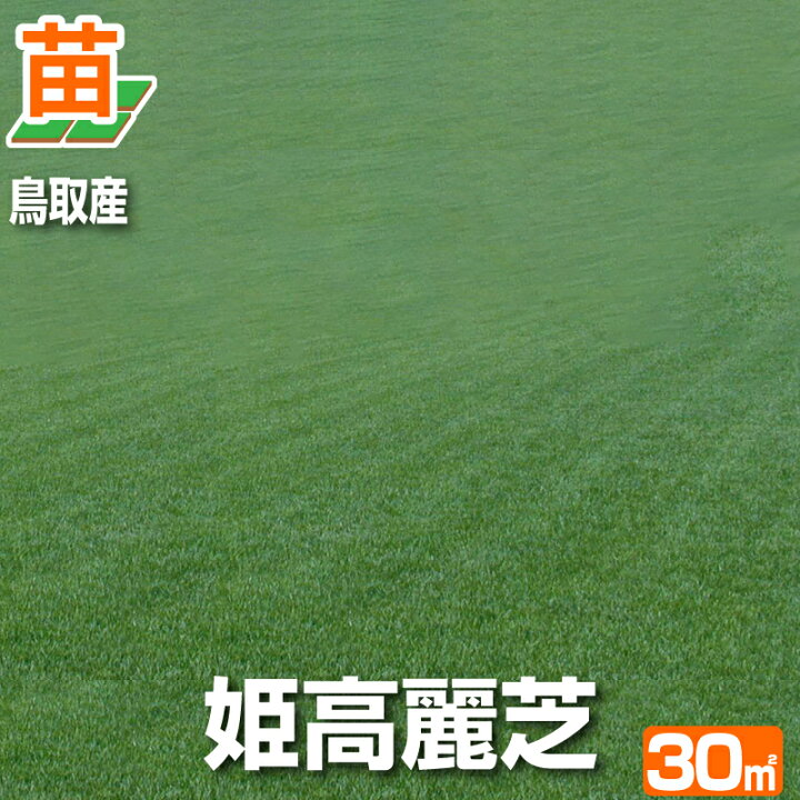 楽天市場】【30平米 姫高麗芝】鳥取産 姫高麗芝 30平米 9坪分 張り芝 