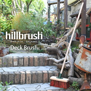 p hillbrush quV T[uV ~bNXn[hfbLuV  bh EFbgΉ