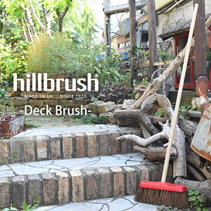 p hillbrush quV T[uV ~fBAfbLuV  bh ق  VRf hCp