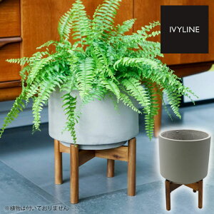 IVYLINE B[S RN[g v^[Jo[ EbhX^ht O[  Zg ꌊȂ 24cm ϗtA