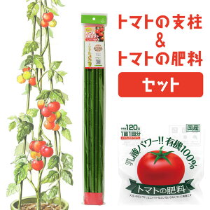 g}gxZbgo[vc g}g̔엿 Zbg rj^Ct g 180cm ƒ؉p  | pCv