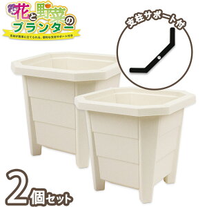 ԂƖ؂̃v^[ XNGA[30cm zCg xT|[gt 13L 1 2 ƒ؉ K[fjO   ` [^ ʎ