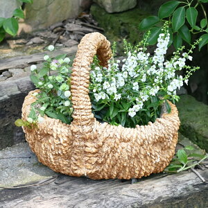 oXPbgi`v^[ TCY  ^ t[|bg K[fIuWF K[fjO O  CeA V[OX