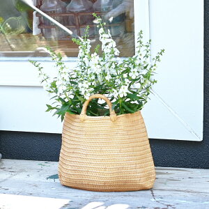 t[|bg كJSv^[ K[fIuWF K[fjO O  CeA V[OX 