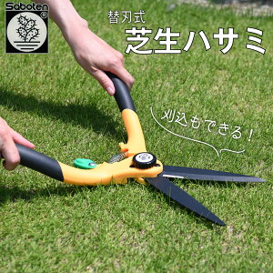 T{e ŐnT~ ^Cv Ő ͂ tbfR[gn Ŋ͂ Ŋ΂