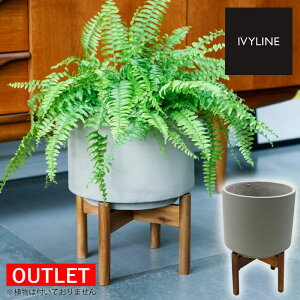 �y�A�E�g���b�g�zIVYLINE ���B�[�S �R���N���[�g �v�����^�[�J�o�[ �E�b�h�X�^���h�t �O���[ �� �Z�����g ���ꌊ�Ȃ� 24cm �ϗt�A��