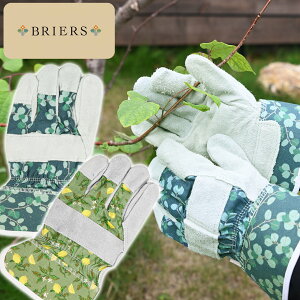 英国 Briers ブリアーズ レザー ガーデングローブ Mサイズ ばら用 手袋 ギフト おしゃれ