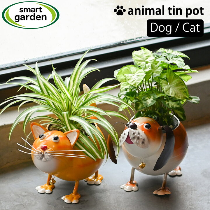 楽天市場】英国 Smart Garden アニマルプランター ドッグ キャット