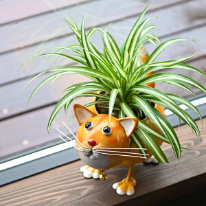 p Smart Garden Aj}v^[ hbO Lbg Aؔ ꌊ  t[|bg K[fjO IuWF K[fjO Mtg  L 킢