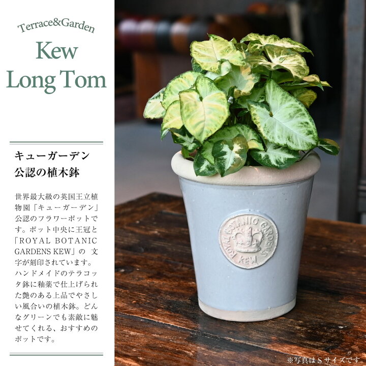 楽天市場】英国 Terrace&Garden キューガーデン キューポット