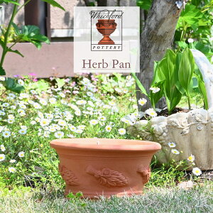 EBb`tH[h n[u p a22cm 7 Whichford pAؔ CMX