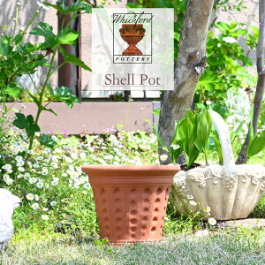 EBb`tH[h VF |bg a29cm 9.5 Whichford pAؔ CMX