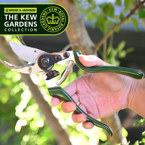 puh SpearJackson L[K[fRNV  oCpX^Cv MAX20mm ͂ ΂ nT~ oT~ | K[fjO Mtg