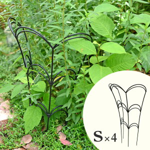 t[K[h ACA ubN STCY 1 2 4 x Ԏx ~jgX  T|[g h Vv