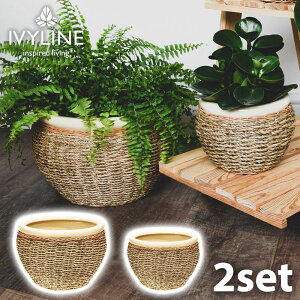 IVYLINE V[OX |bgJo[ 2Zbg i` a30cm a23cm i`  Jo[  ꌊȂ ϗtA ی^ {E^ 