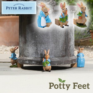 s[^[rbg |bgtB[g 3Zbg ɂ񂶂 ꂳ Aؔ v^[ 3 Mtg ObY