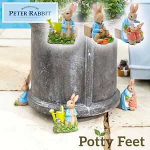 s[^[rbg |bgtB[g 3Zbg WE ꂳ tvV[EvV[EJge[ Aؔ v^[ Mtg ObY