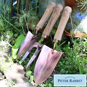 s[^[rbg XeX|XRbvtH[N 3Zbg nh^Cv K[fjO ObY G Mtg ObY