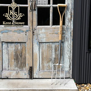 p Kent&Stowe gfBVi fBMO XeXtH[N TCY fBMOtH[N