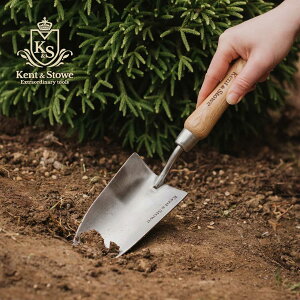 pKent&Stowe PgXgE XeXnhXRbv Mtg