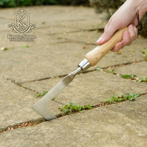 p Kent&Stowe PgXgE EB[fBOiCt iCt Mtg