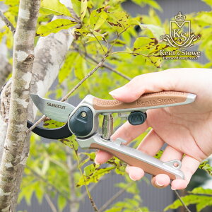 puh Kent & Stowe PgXgE ~j(΂) oCpX^Cv MAX15mm Mtg