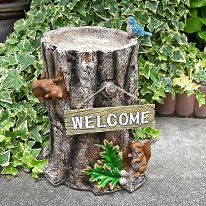 I[ig 肷ƐX̂肩 EFJ  u ؂芔 fBXvC 