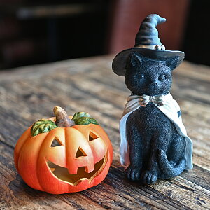 nEB LpvLS Zbg Xq RE}g WbNI[^ I[ig u G CeA fBXvC  Mtg