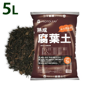 vg[t n ty 5L 1 2܃Zbg {py ܂Ƃߔ