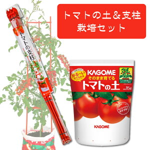 �v���g���[�t �g�}�g�̓y���x�� 120cm �͔|�Z�b�g 1�Z�b�g 2�Z�b�g ����ǂ�d���� �ƒ�؉� �x�����_�؉� �~�j�g�}�g �|�{�y �܂Ƃߔ���