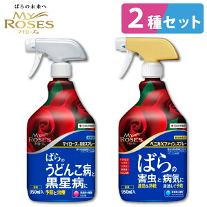 ZFw| o̎Eۍ 2탍[e[VZbg }C[Y xjJXt@CXv[EۃXv[ |pi ΂ ǂ񂱕a a KINCHO|