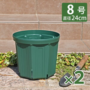 KANEYA Xbg 8 a24cm XO[ 1 2Zbg vX`bNAؔ CSM-240 Y