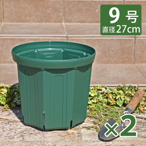 KANEYA Xbg 9 a27cm XO[ 1 2Zbg vX`bNAؔ CSM-270 Y