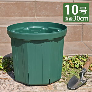 KANEYA �X���b�g�� 10�� ���a30cm ���X�O���[�� 1�� 2�� 4�� 12��(1�P�[�X)�Z�b�g �v���X�`�b�N�A�ؔ� CSM-300 ����Y��