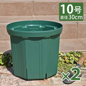 KANEYA Xbg 10 a30cm XO[ 1 2Zbg vX`bNAؔ CSM-300 Y