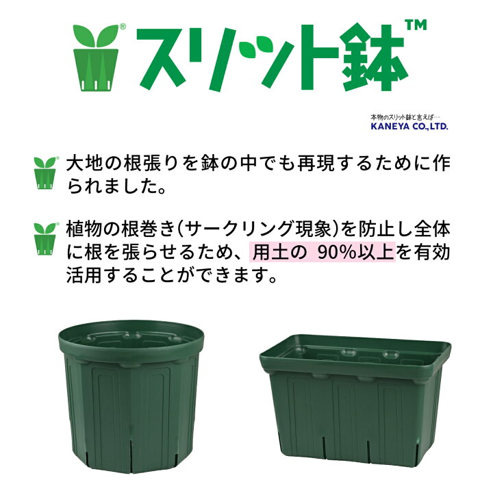 楽天市場】KANEYA スリット鉢 9号 直径27cm モスグリーン 1個 2個 4個 