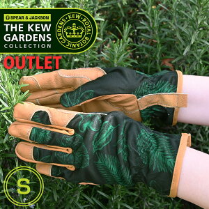 yAEgbgzpuh SpearJackson L[K[f K[fO[u STCY  K[fjOO[u  |