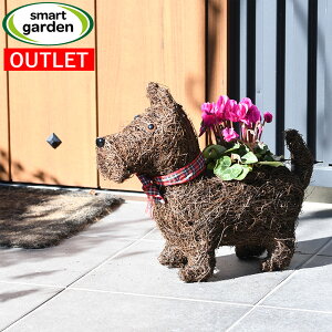 yAEgbgzp Smart Garden K[fAj}v^[ XRbeBhbO  A K[fjO